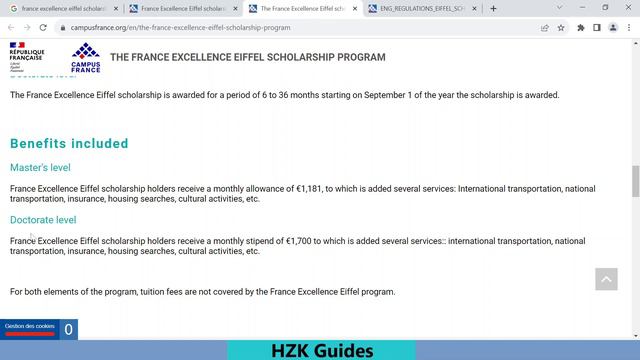 France Excellence Eiffel Scholarships Program 2024 Applications | Masters/PhD Scholarships In Franc смотреть онлайн