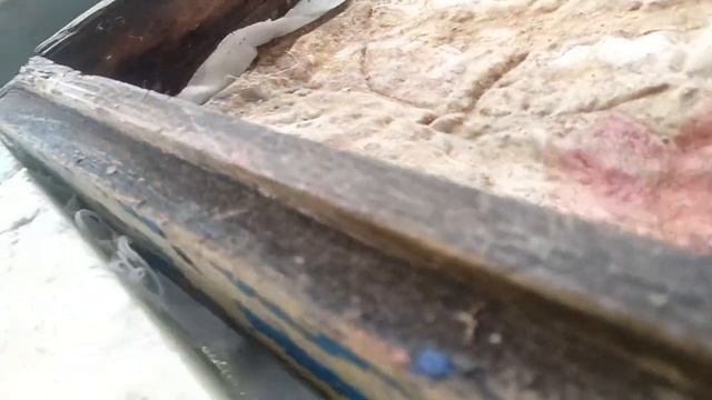 как сели пчёлы