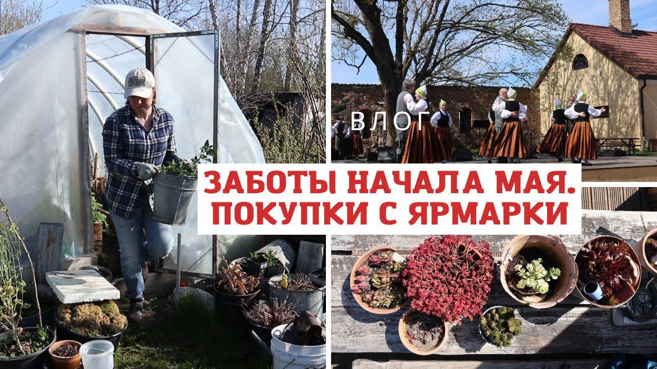 Начало мая в саду и не только смотреть онлайн