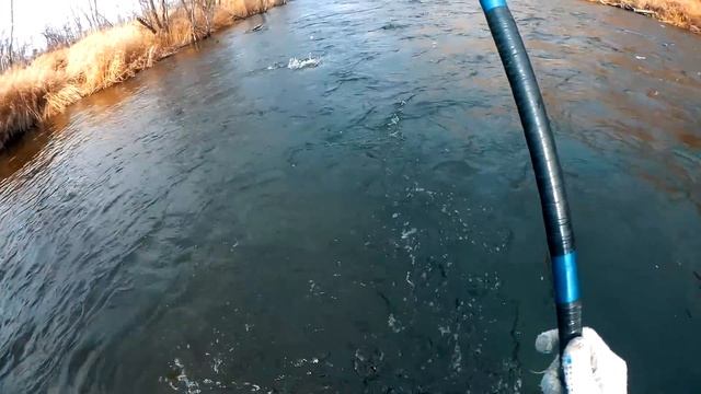 ГОРНАЯ РЫБАЛКА 2020. МНОГО КРУПНОГО ХАРИУСА. смотреть онлайн