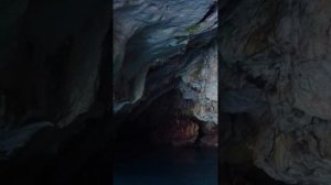 Микрозелень одна из самых полезных горох