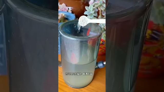 Achieve inner peace and stress relief with these flower gardening tips at home Ep 23 смотреть онлайн