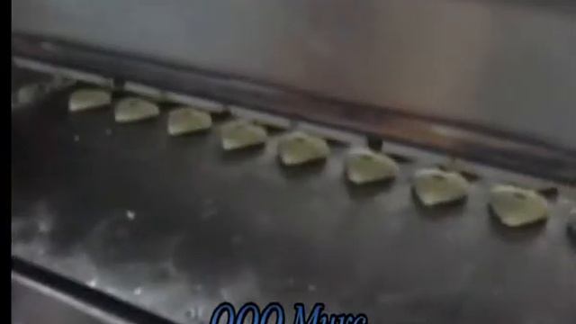 Двухбункерная тестоотсадочная машина.