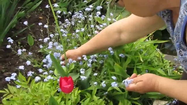 Мастер-класс «Россия — Родина моя» смотреть онлайн