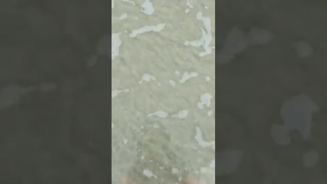 Флорида. Атлантическое побережье. Дайтона Бич. Майами смотреть онлайн