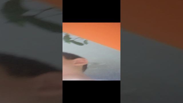 VID_20240815_190131.mp4