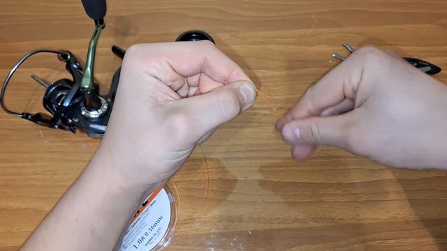 Заливное путешествие