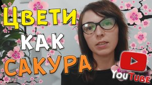 Японская маска для лица из рисовой муки