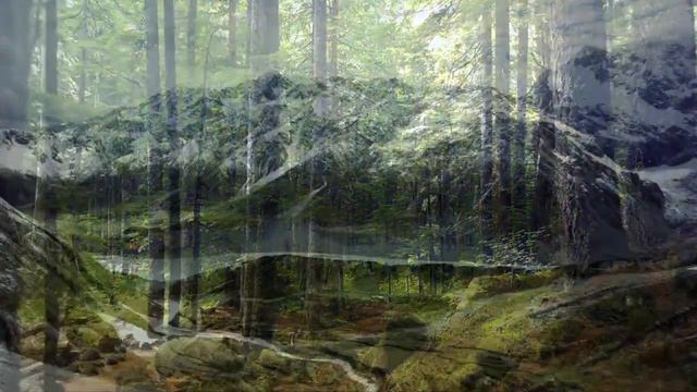 RELAXING MUSIC FOR SLEEP AND MEDITATION OR CALMING