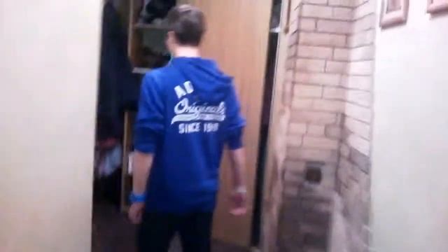 Котики в Эфире