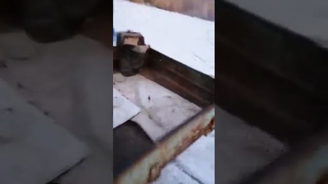 Первый лед на мотоцикле иж планета и мотороллере муравей смотреть онлайн