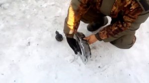 Замена корзины и регулировка сцепления ГАЗ-53, ГАЗ-3307, ГАЗ-66.