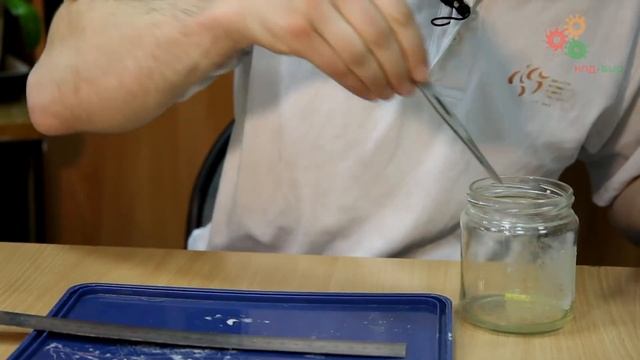 Физиология растений. Изучение осмотических явлений смотреть онлайн