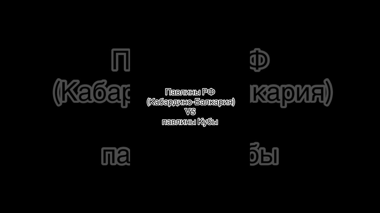 Чьи павлины круче? #shorts смотреть онлайн