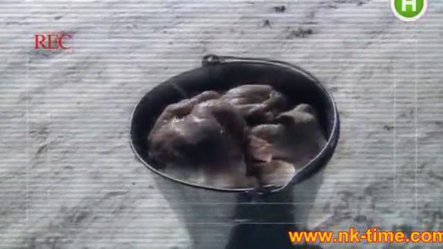 Файна Юкрайна - Марічка і Антон (72 выпуск) смотреть онлайн