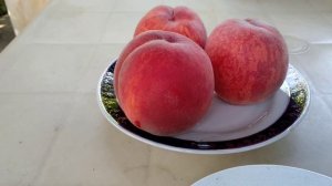 Персик ХАРНАС. Короткий обзор.