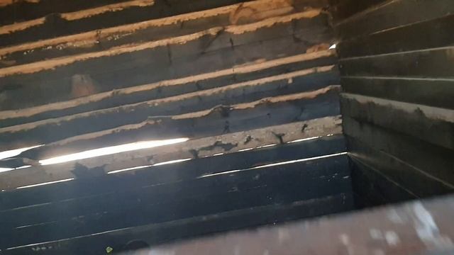 КУПИЛИ ПОРОСЯТ ПОРОДЫ КАРМАЛ/ЧЕМ КОРМЛЮ СВИНЕЙ смотреть онлайн