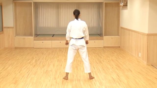 Shotokan Karate Kyu grading test Syllabus for 3 Kyu. смотреть онлайн