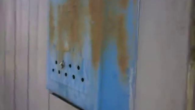 Шмееел!Bumblebeeeee! смотреть онлайн