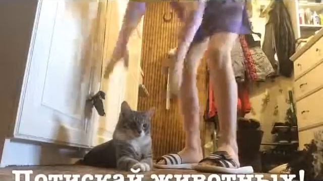 Что делать если скучно? смотреть онлайн
