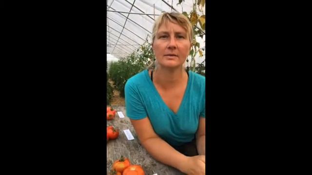 Wednesday | Tomatoes смотреть онлайн