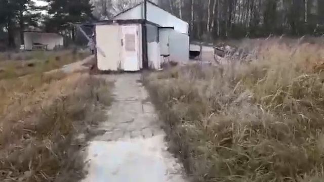 Канищево сегодня смотреть онлайн