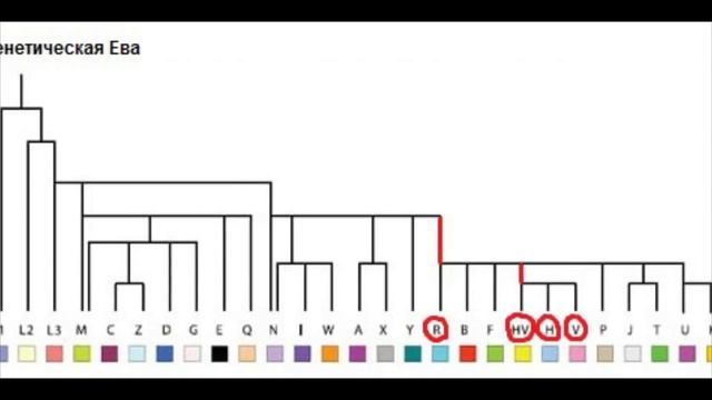 Происхождение современного человека (Генетика 1) смотреть онлайн