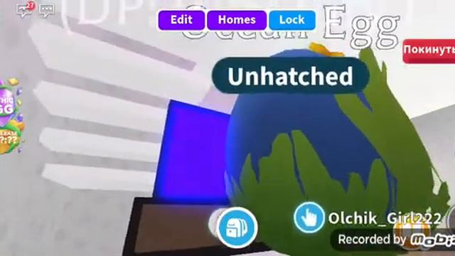 баг как посмотреть какой пет лежит внутри любого яйца / (проверка) смотреть онлайн