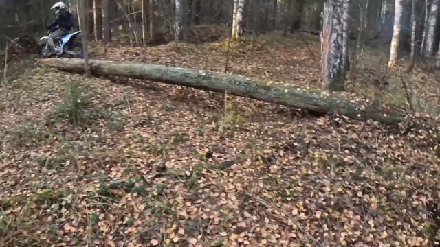 Как на китайском мотоцикле переезжать бревна ( эндуро)хард эндуро .Enduro kex смотреть онлайн