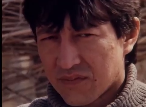 Все вокруг засыпало снегом (1995) смотреть онлайн