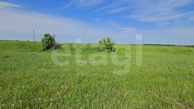 новая калмия, участок 1089 смотреть онлайн