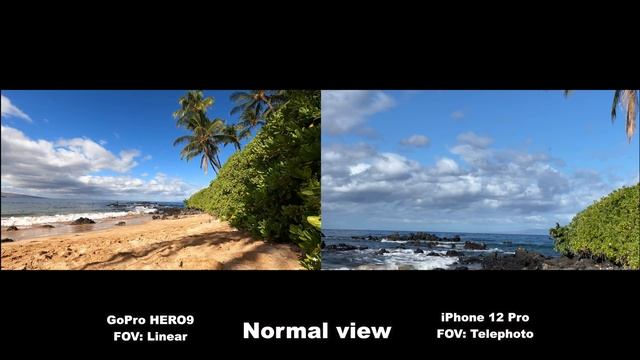 GoPro HERO9 VS iPhone 12 Pro Video Quality Comparison | MicBergsma смотреть онлайн