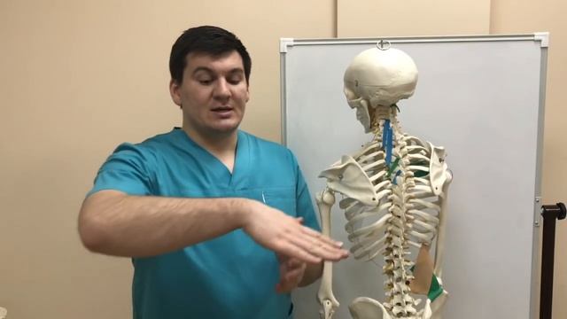 Остеохондроз из-за прямохождения? Что может быть хуже? смотреть онлайн