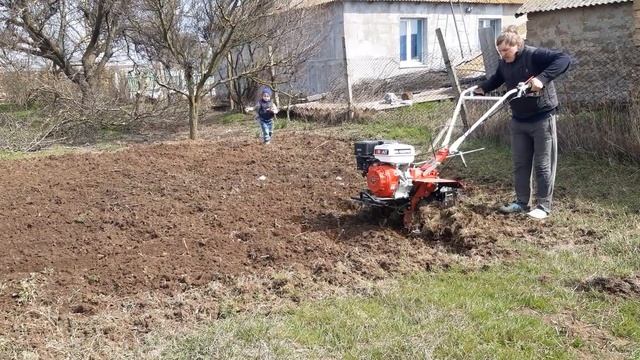 Фрезеровка мотоблоком Брайт BR-135GF PRO смотреть онлайн