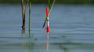 Рыбалка на поплавок с лодки. Карась на червя