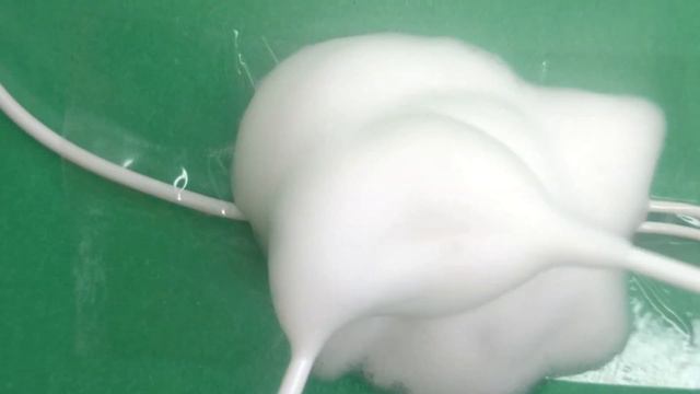 Асмр пенка с микрофоном от наушников смотреть онлайн