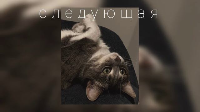 следующая. *авторское* смотреть онлайн