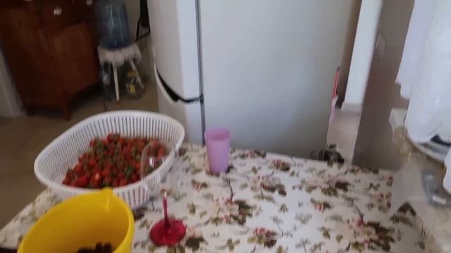 ВЛОГ: НОВАЯ КУХНЯ ГОТОВА / У НАС ГОСТИ / ФОКУСЫ ОТ ГРИШИ? смотреть онлайн