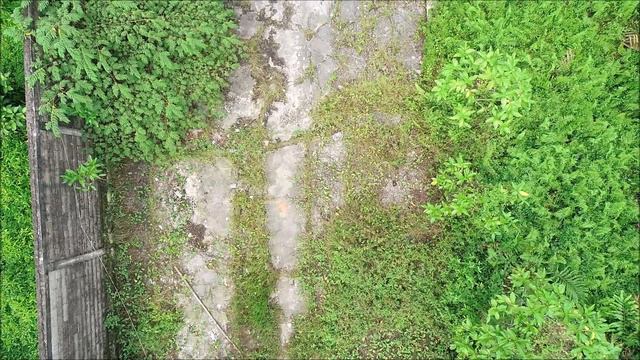 service phantom 4 pro v2 смотреть онлайн