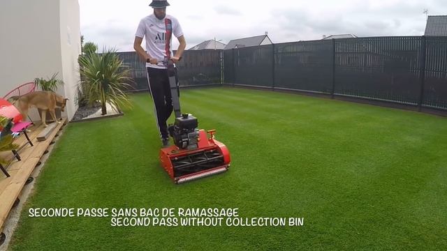 3 mois après la rénovation gazon