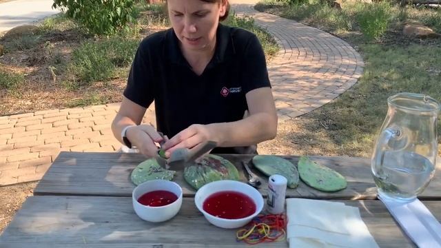 Connecting With Nature - Cochineal