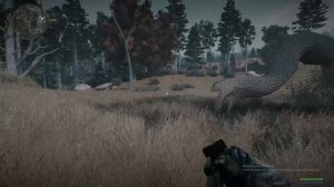 S.T.A.L.K.E.R. - Ловец снов | Где найти артефакт "Сердце Оазиса"