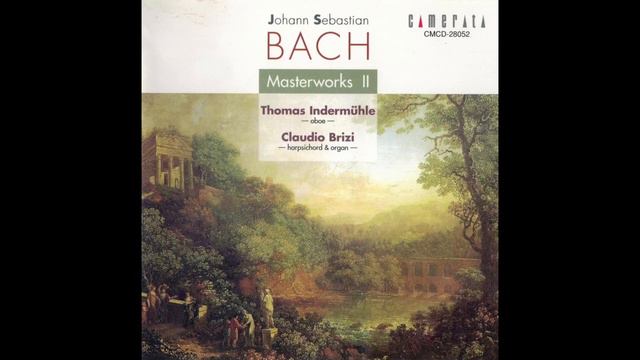 J. S. Bach - Sonata BWV 1014 h-Moll - Indermühle, Brizi смотреть онлайн