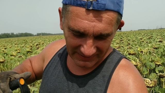Металлокоп, рецепт помидор с морковной ботвой, теперь у нас есть кухонный мини комбайн!!! смотреть онлайн