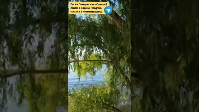 В Самаре у Ладьи #самара смотреть онлайн