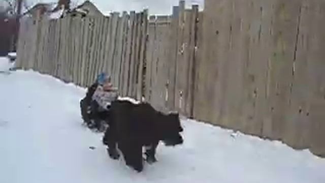Самоходка. Роман-Кош Бельбек и Берри. 2006 г. смотреть онлайн