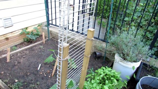 Vegetable Garden Tour & Tips 7/19/2018: Mature Tomatoes & Peppers, Crops to Plant Now смотреть онлайн