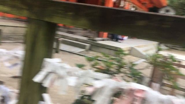 Япония.Остров Кюсю.Город Фукуока.Захоронение "Кушиду Дзинь-Дзя."Октябрь2017. смотреть онлайн