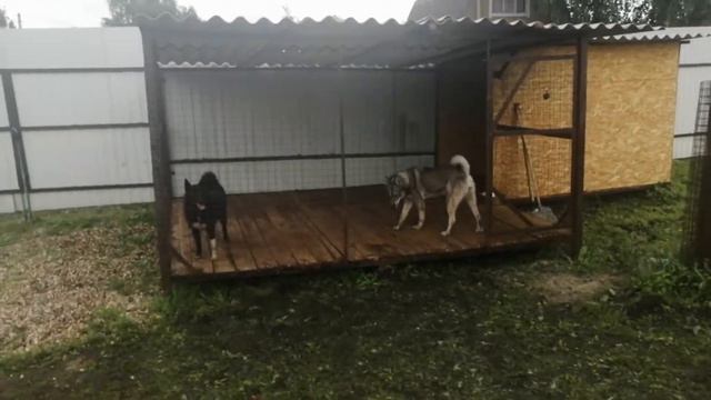 Дожди, прогулка ЗСЛ и РЕЛ смотреть онлайн