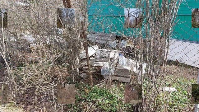 Майский влог 13. Что на участке после ЗИМЫ? смотреть онлайн